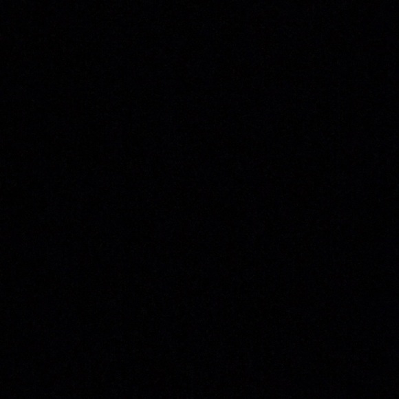 Meet your Posher, Raynelle - Picture 1 of 1